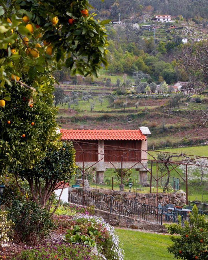 Quinta Do Tapadinho - Wine & Tourism Villa Moimenta Luaran gambar