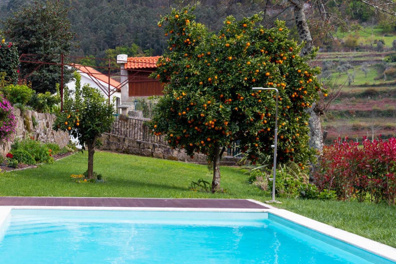 Quinta Do Tapadinho - Wine & Tourism Villa Moimenta Luaran gambar