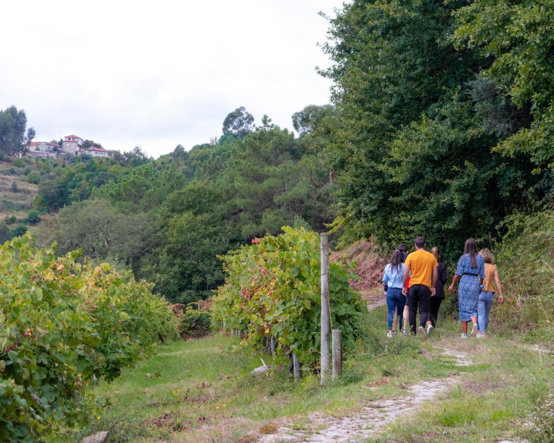Quinta Do Tapadinho - Wine & Tourism Villa Moimenta Luaran gambar