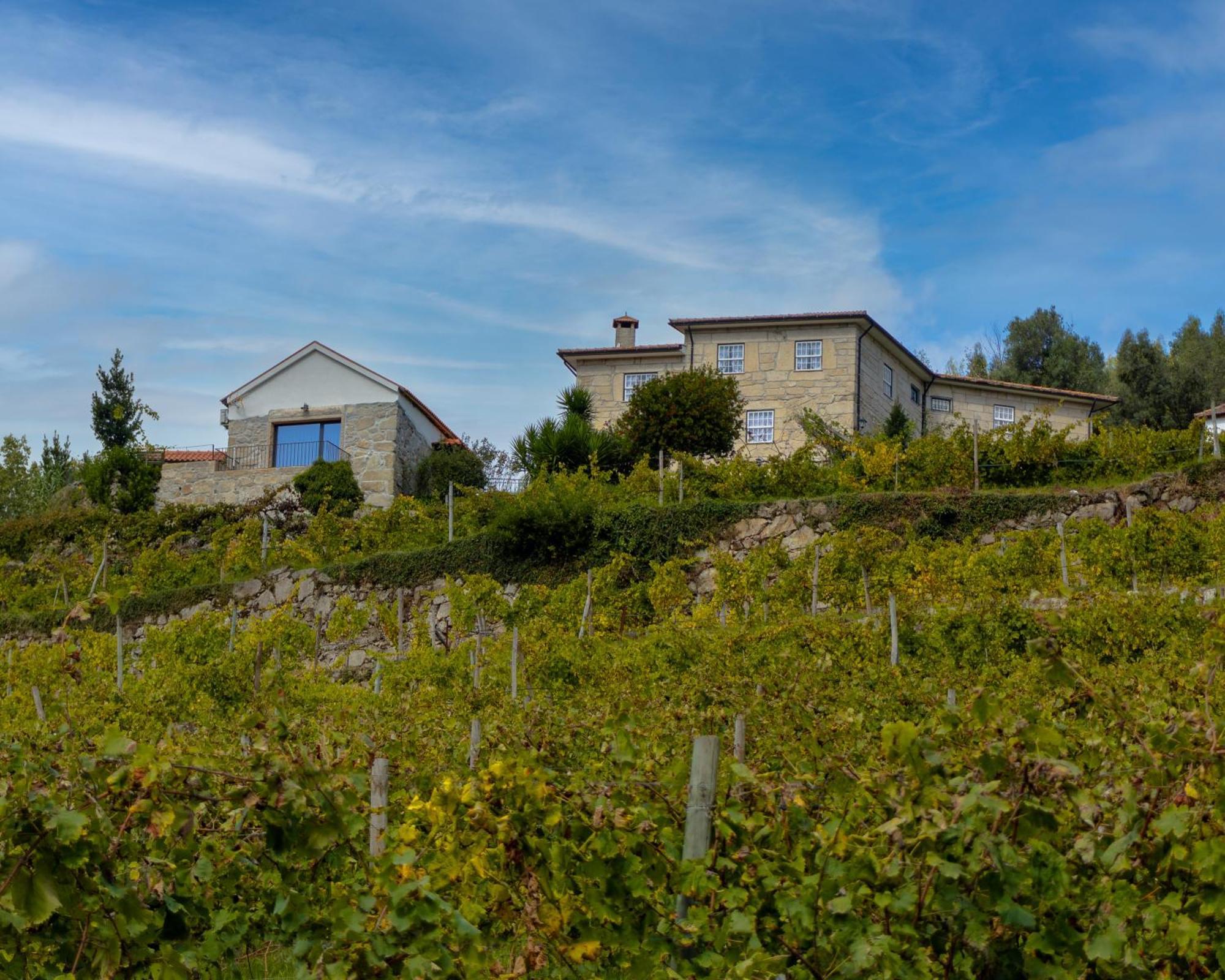 Quinta Do Tapadinho - Wine & Tourism Villa Moimenta Luaran gambar